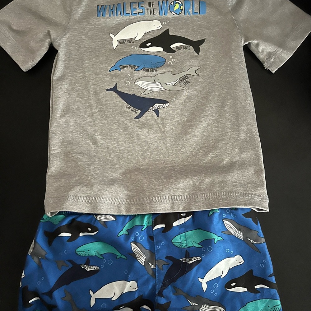 Cat & Jack Gray Graphic T-Shirt